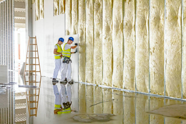 Best Specialty Insulation in Marillo, CA